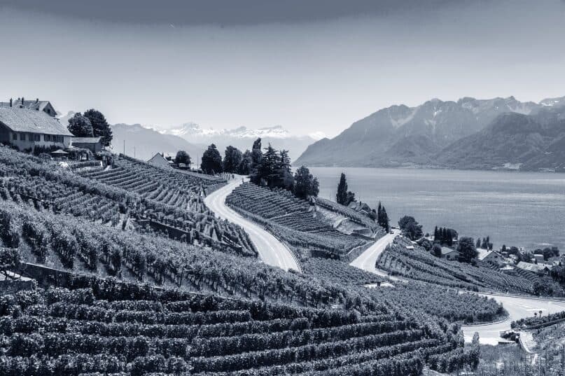 Terraced vineyards above Lake Geneva