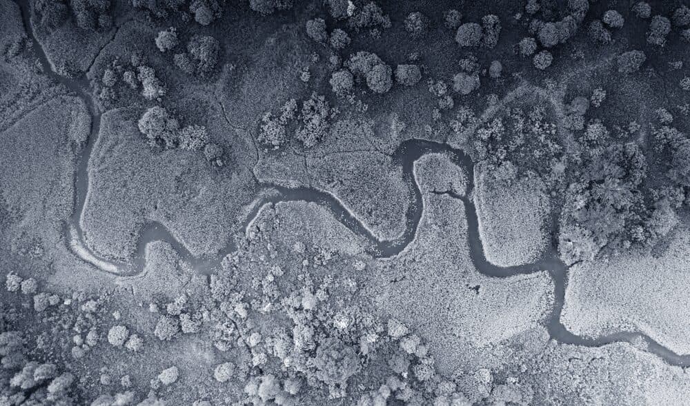 A river winding through wetland